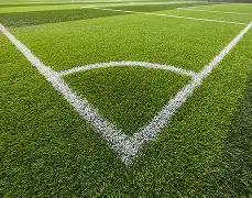 张纪中爱妻,分享田间欢,乐时光,开云体育,开云体育官网,开云体育app,开云体育平台,KAIYUN,SPORTS,kaiyun登录入口