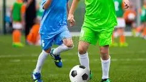 秦岭核桃产业获外汇支持，跨境金融助力乡村振兴新篇章